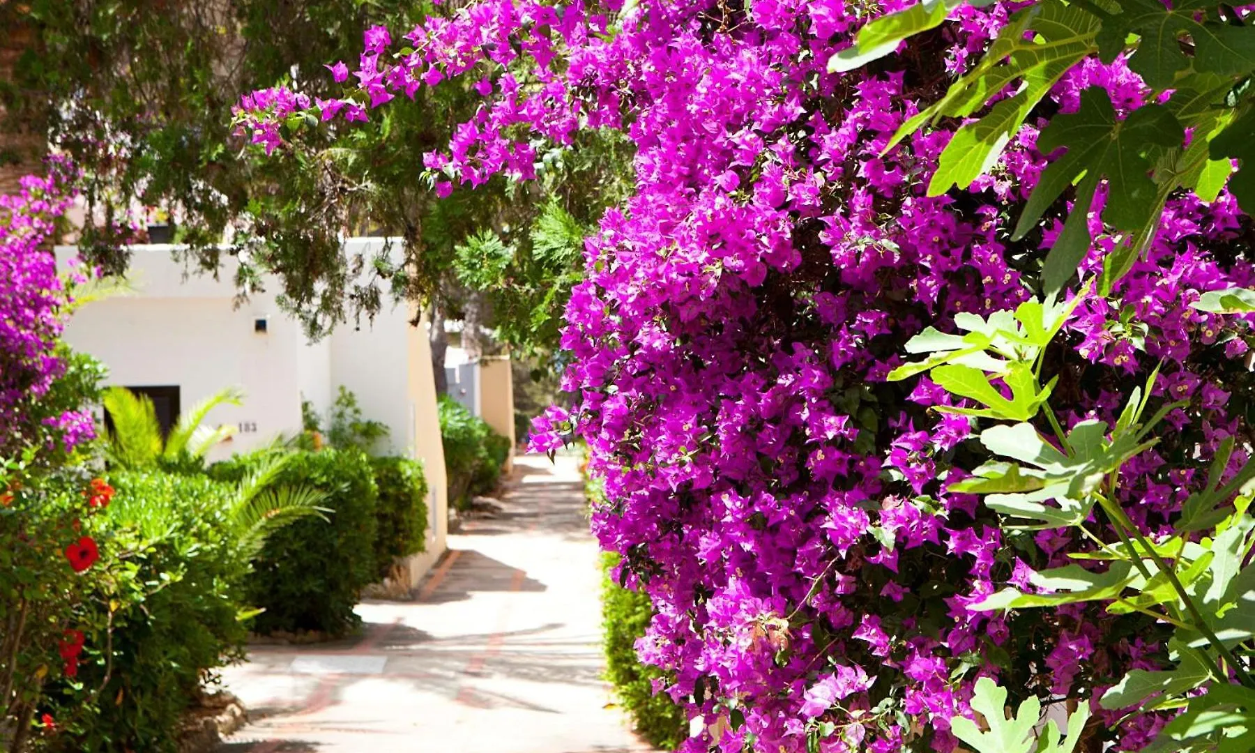 ***  Club Cala Azul Hotel Cala Llenya  Spain