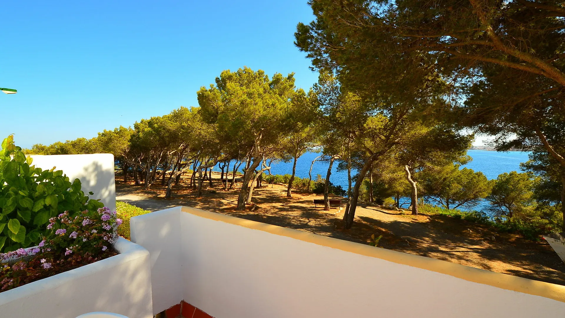 Club Cala Azul Hotel Cala Llenya